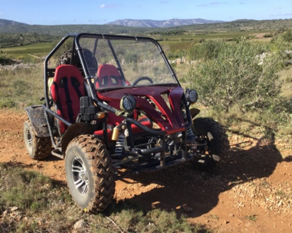 Kart électrique adulte utv modèle XS EGK01