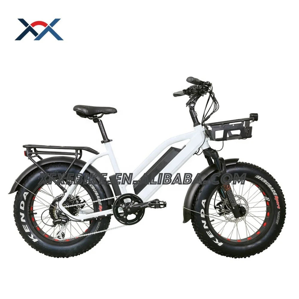 Vélo électrique enfant 48V 750W moteur, batterie 13Ah