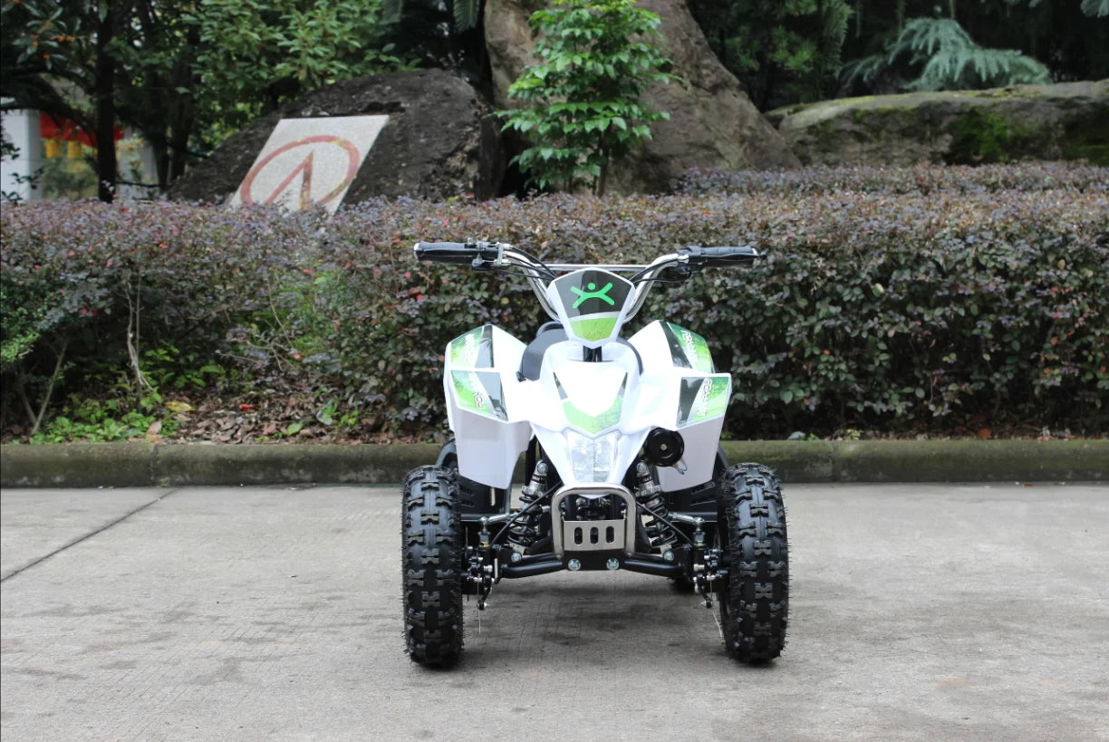 Quad Tout-terrain Enfant 36V 800W Mini Véhicule 4 Roues
