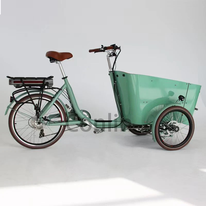 Vélo électrique cargo familial 4 places, tricycle à 3 roues