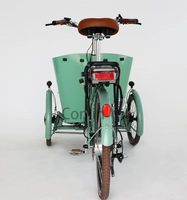 Vélo électrique cargo familial 4 places, tricycle à 3 roues
