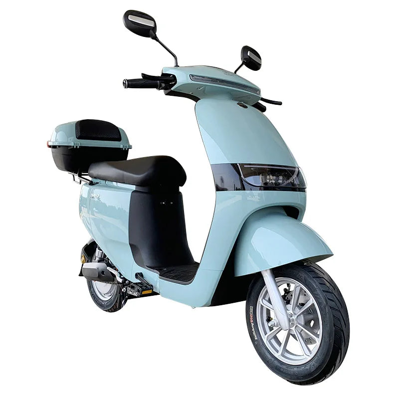 Scooter électrique tout-terrain SInski 1000W, vitesse 45 km/h, charge 250kg