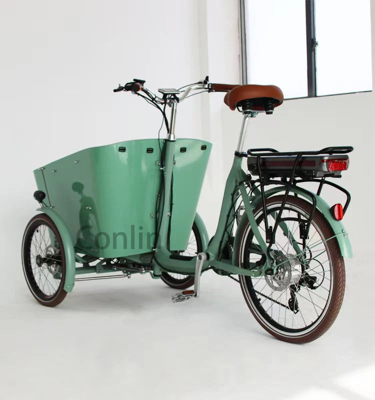 Vélo électrique cargo familial 4 places, tricycle à 3 roues