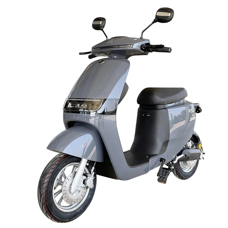 Scooter électrique tout-terrain SInski 1000W, vitesse 45 km/h, charge 250kg