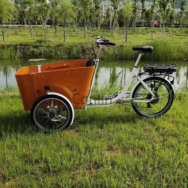 Vélo électrique cargo familial 4 places, tricycle à 3 roues