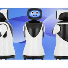 Robot d'Accueil IA Guidé – Service de Livraison Automatique