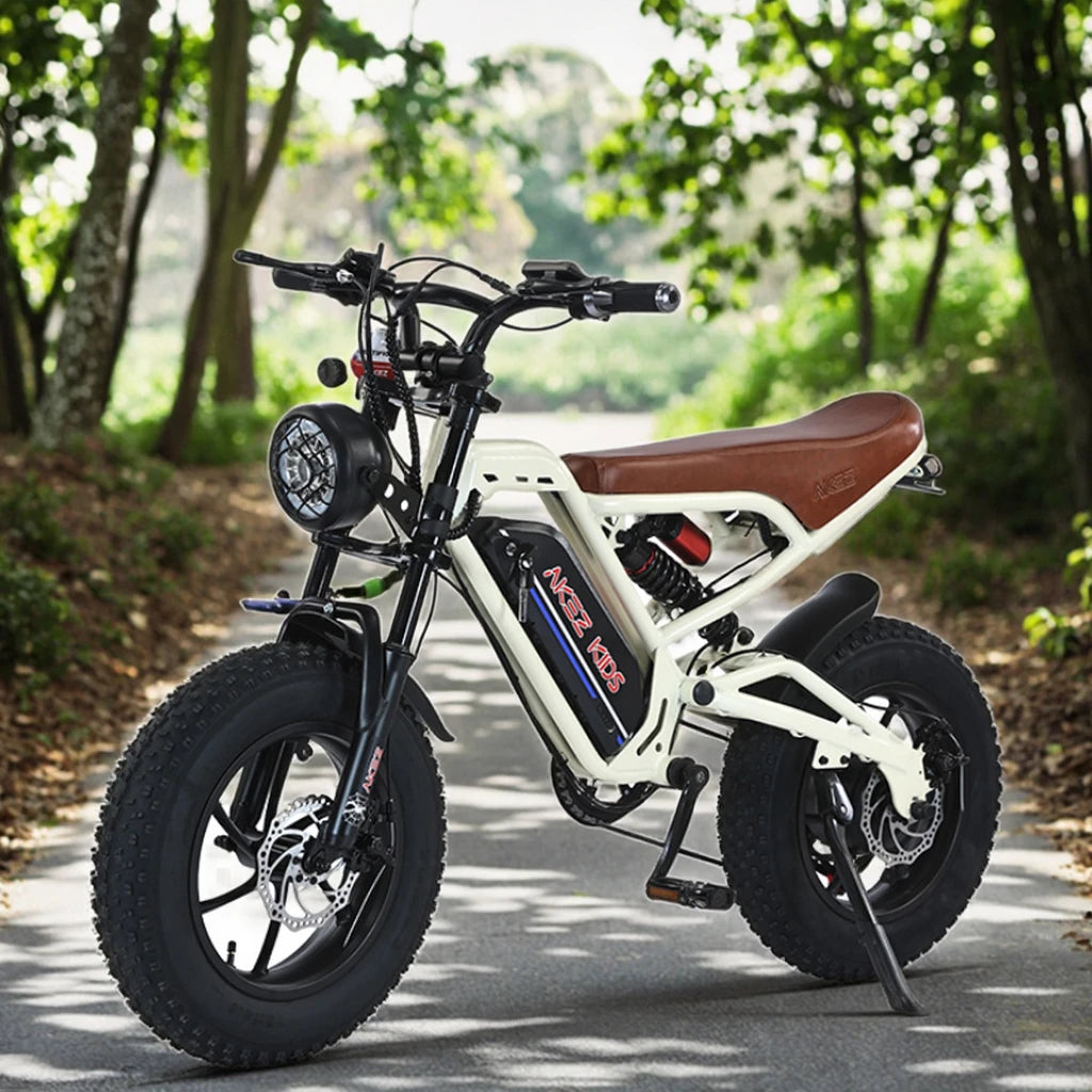 Vélo de Montagne Électrique Enfant 16" Rétro 350W