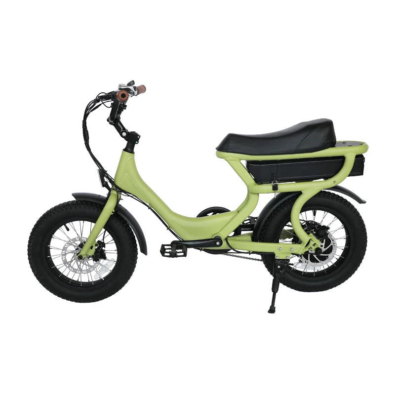 Vélo électrique enfant 36V 750W Fat Bike couleur personnalisable