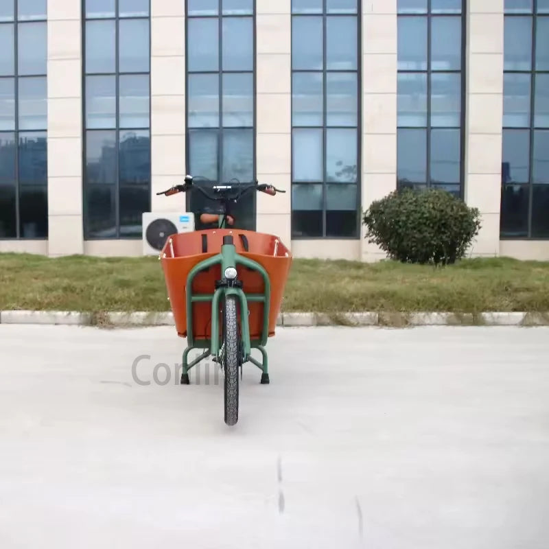 Vélo cargo hollandais 6 vitesses, moteur puissant, charge 300 kg