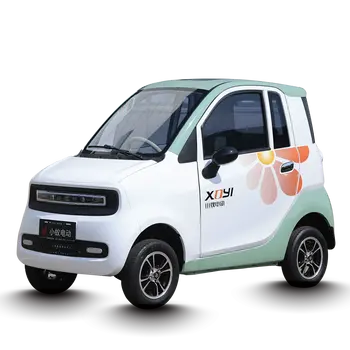 Voiture électrique Mini 3000W 4 Roues