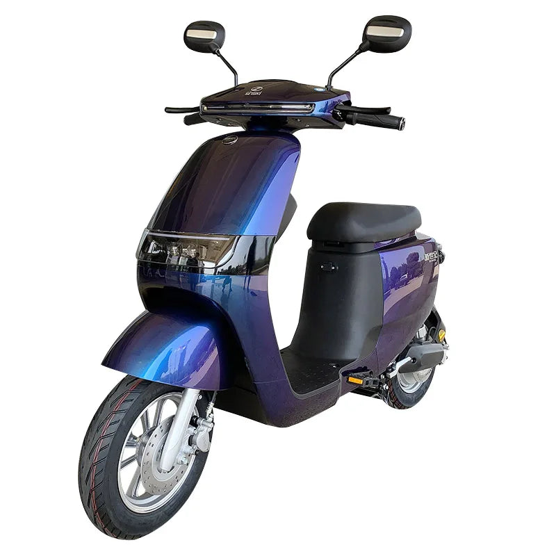 Scooter électrique tout-terrain SInski 1000W, vitesse 45 km/h, charge 250kg
