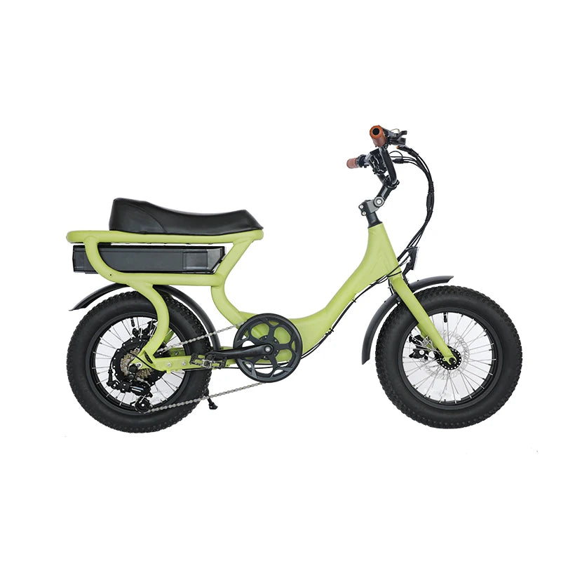 Vélo électrique enfant 36V 750W Fat Bike couleur personnalisable