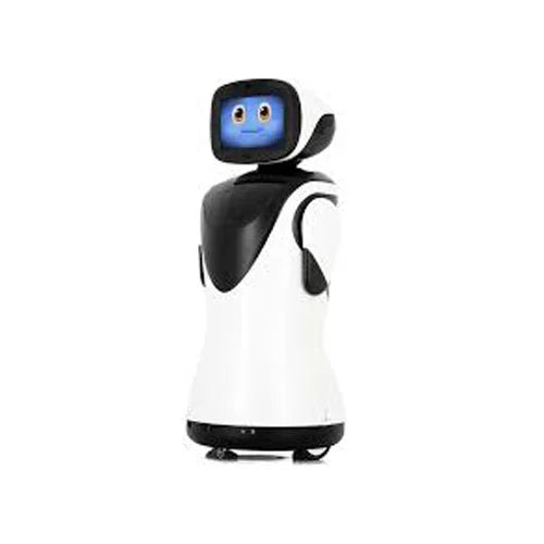 Robot d'Accueil IA Guidé – Service de Livraison Automatique