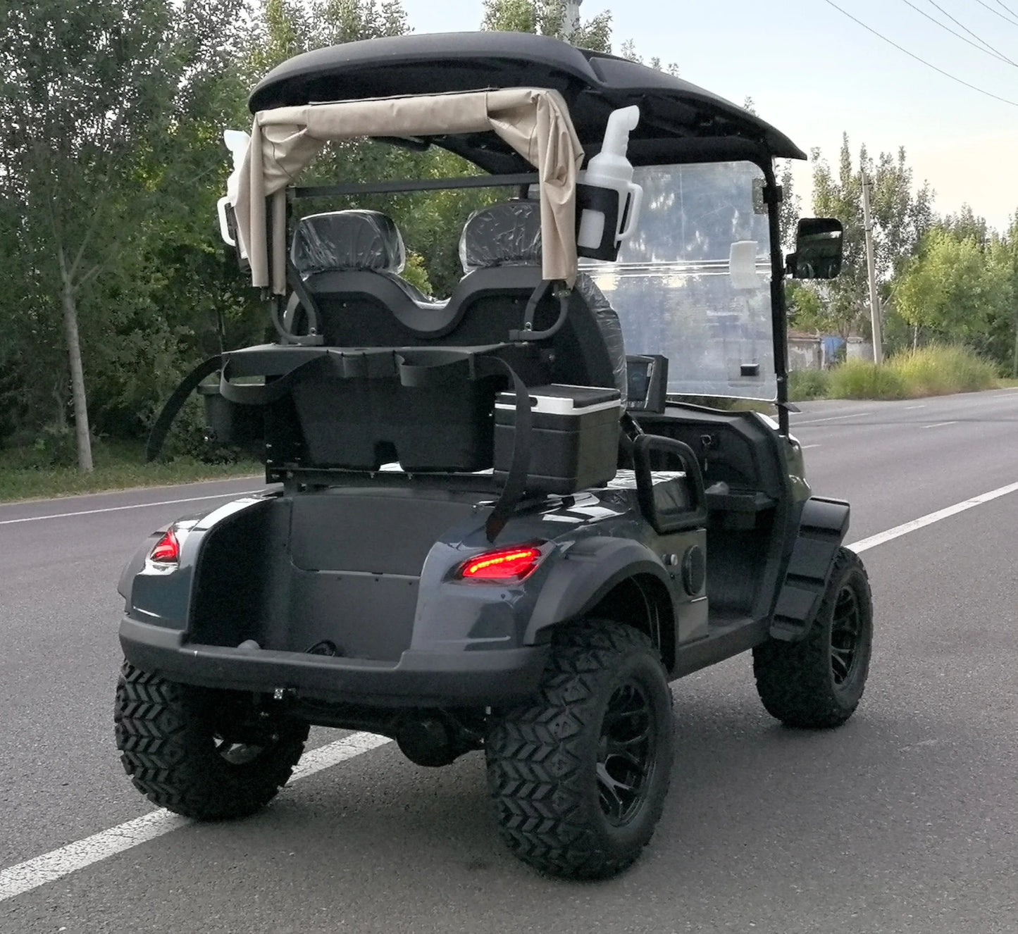 Voiturette golf électrique 2 places, batterie 48V, vitesse 35 km/h