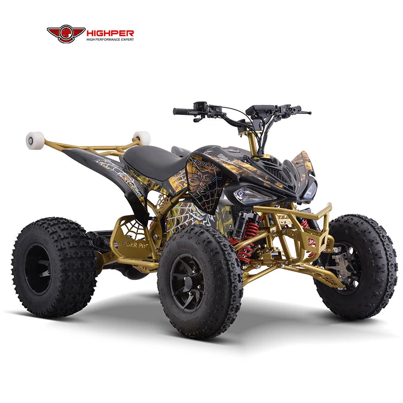 Quad Tout-Terrain Électrique 5000W 72V 105Ah Haute Puissance pour Adultes