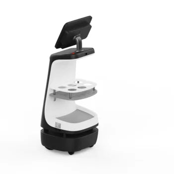 Robot Réceptionniste IA Autonome avec Reconnaissance Faciale et ChatGPT