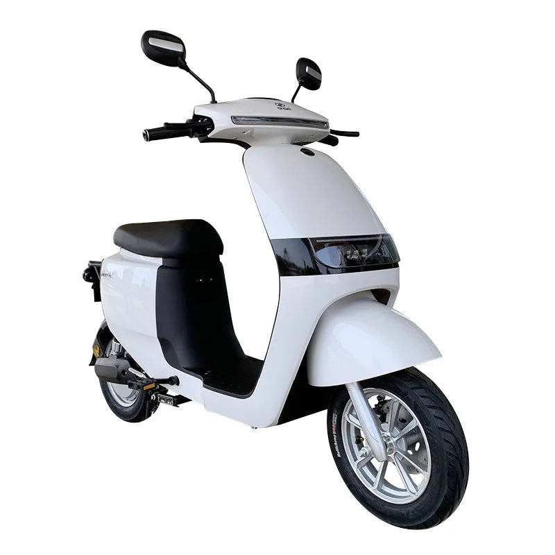 Scooter électrique tout-terrain SInski 1000W, vitesse 45 km/h, charge 250kg