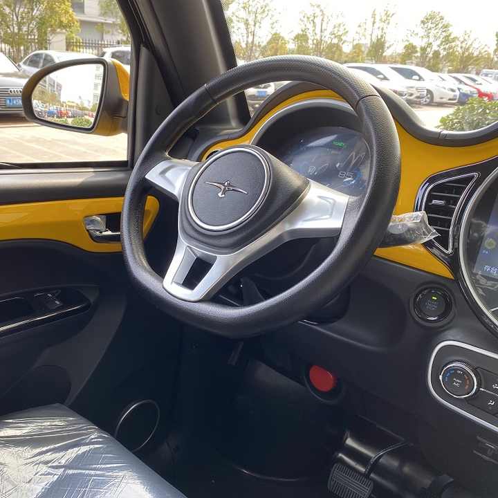 Heute Sunshine EEC COC Auto ohne Lizenz Batterie 120ah Reichweite 150 km
