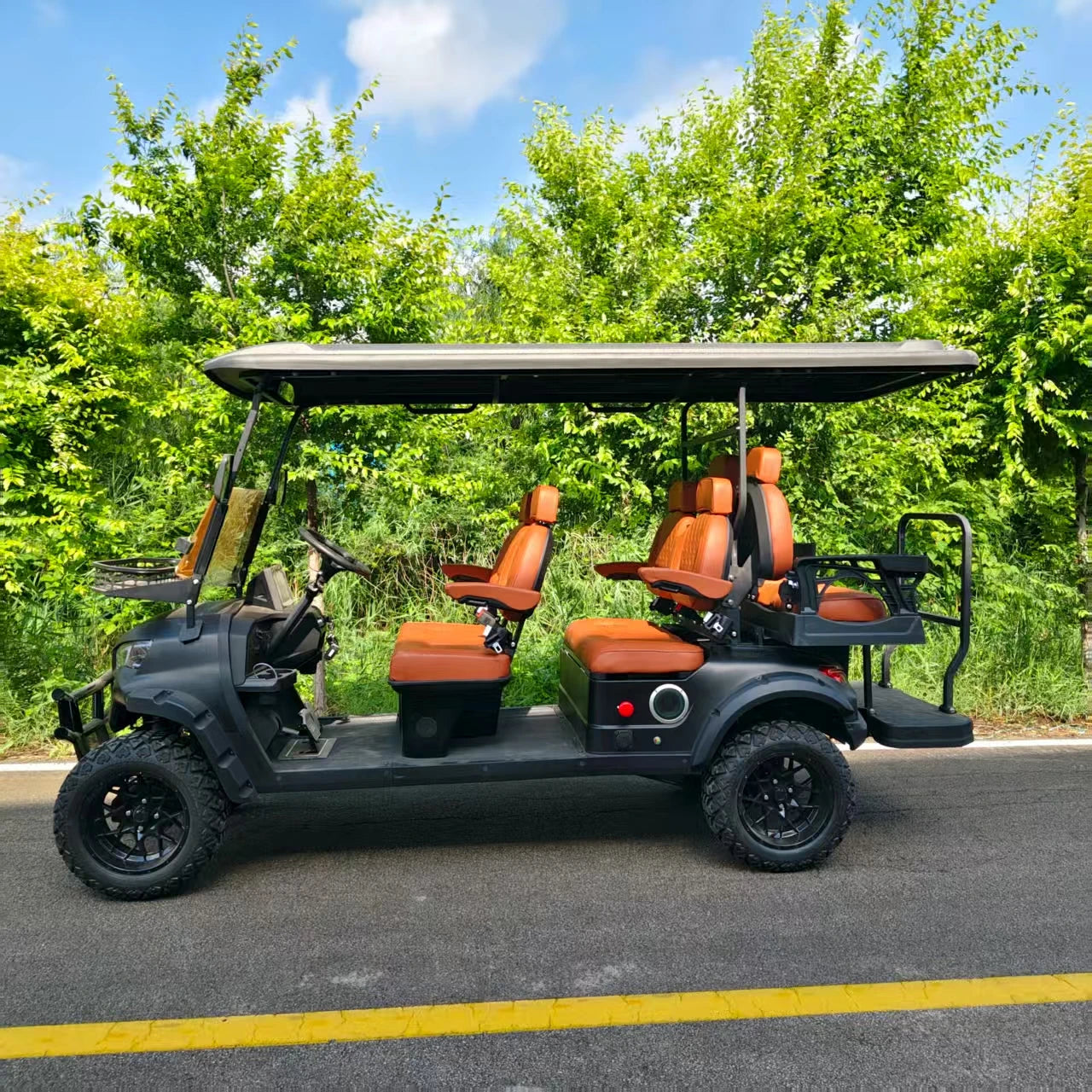 Voiturette de golf électrique 6 places 7.5kW haute performance