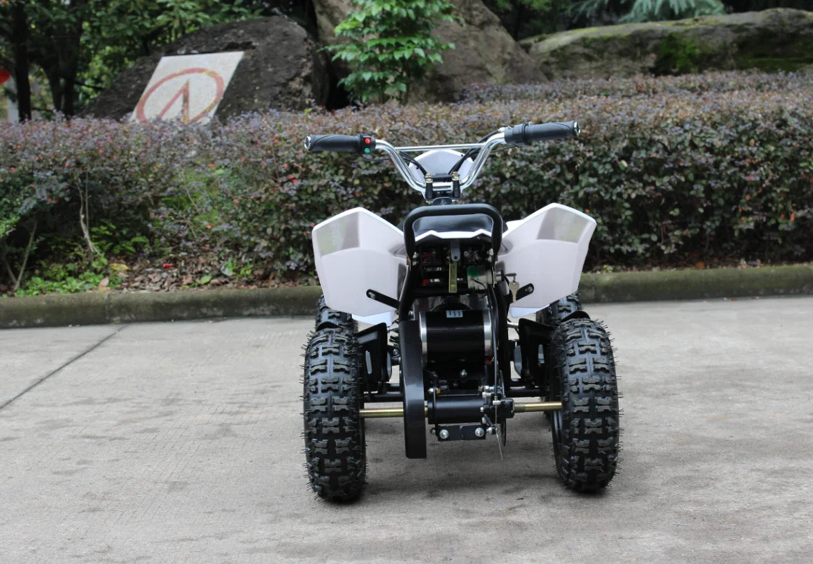Quad Tout-terrain Enfant 36V 800W Mini Véhicule 4 Roues