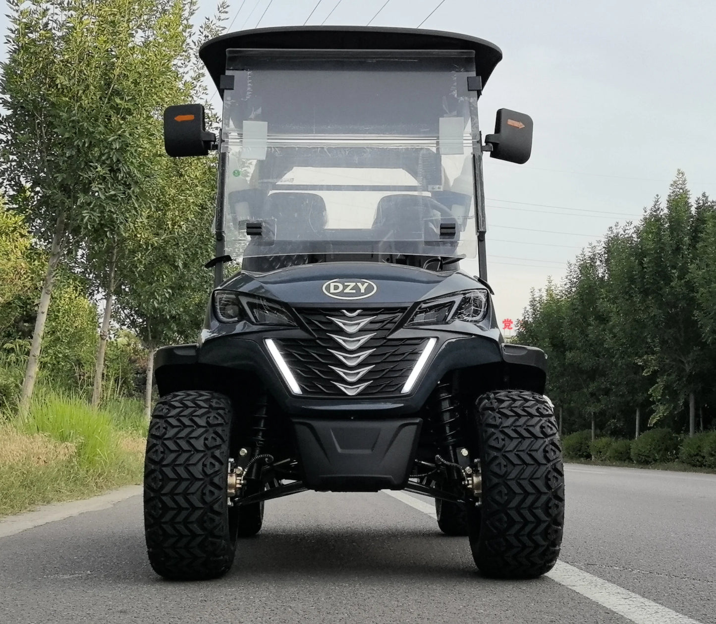 Voiturette golf électrique 2 places, batterie 48V, vitesse 35 km/h