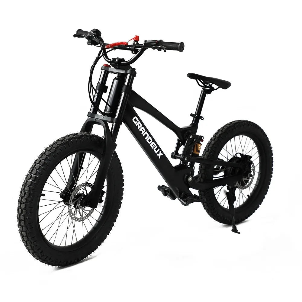 Vélo électrique enfant 36V 750W Fat Bike couleur personnalisable