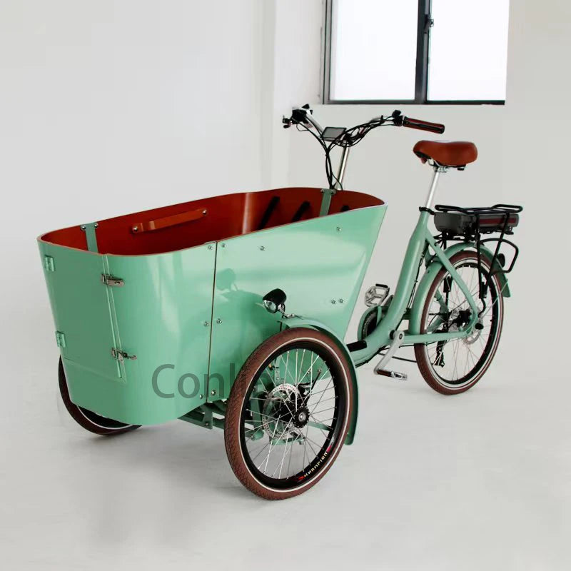 Vélo électrique cargo familial 4 places, tricycle à 3 roues