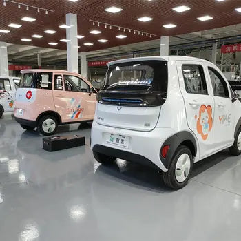 Voiture électrique adulte SUNYU avec certificat EU, économique et de qualité