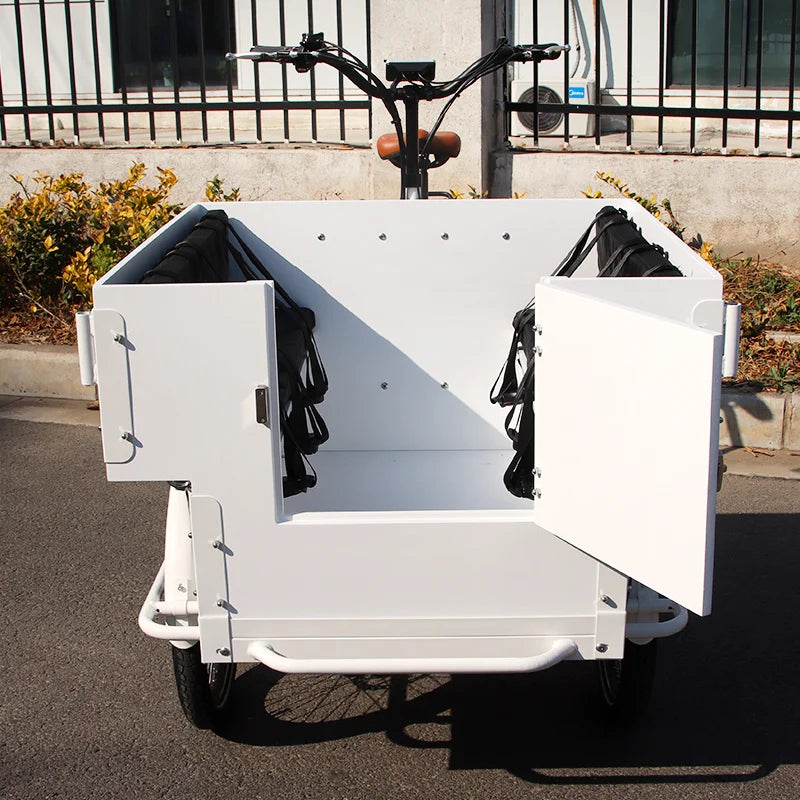 Tricycle Cargo Électrique 20 pouces avec Siège Enfant