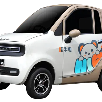 Voiture électrique Mini 3000W 4 Roues