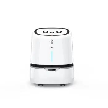 Robot de Livraison Commerciale Personnalisé à Plateforme en Plastique