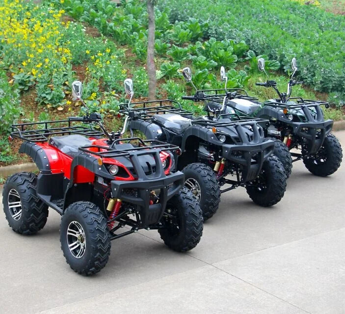 Quad électrique 4000W 4x4 adulte tout-terrain haute puissance