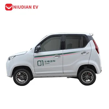 Camion électrique NIUDIAN mini