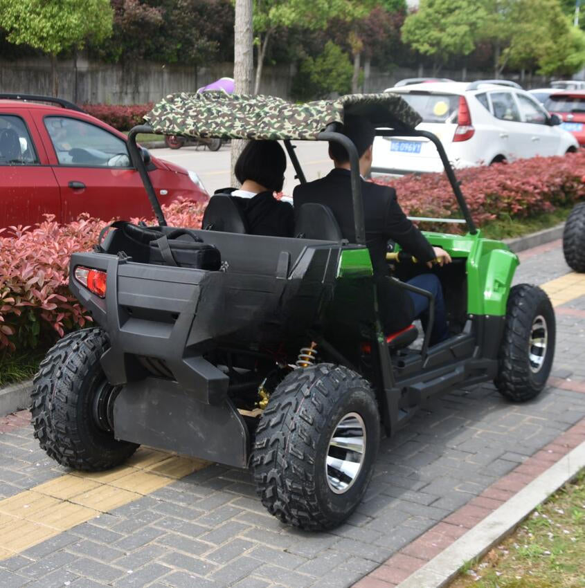 buggy Tout-Terrain Électrique 3000W