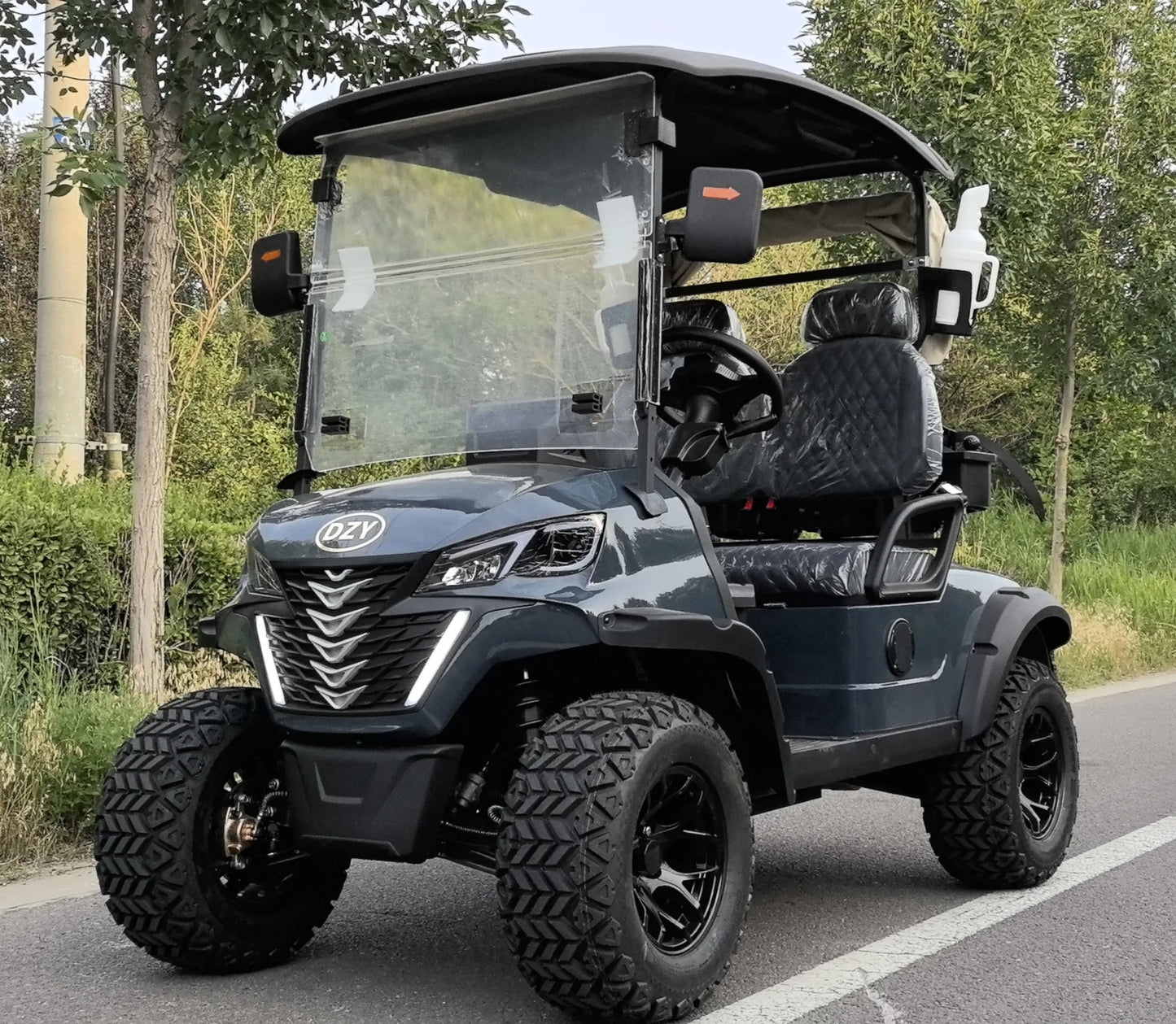 Voiturette golf électrique 2 places, batterie 48V, vitesse 35 km/h