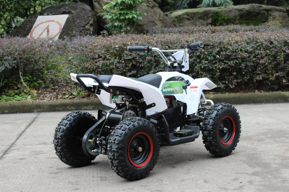 Quad Tout-terrain Enfant 36V 800W Mini Véhicule 4 Roues