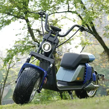 Trottinette électrique Citycoco 2023, batterie amovible, 2000-3000W, 55-85 km/h