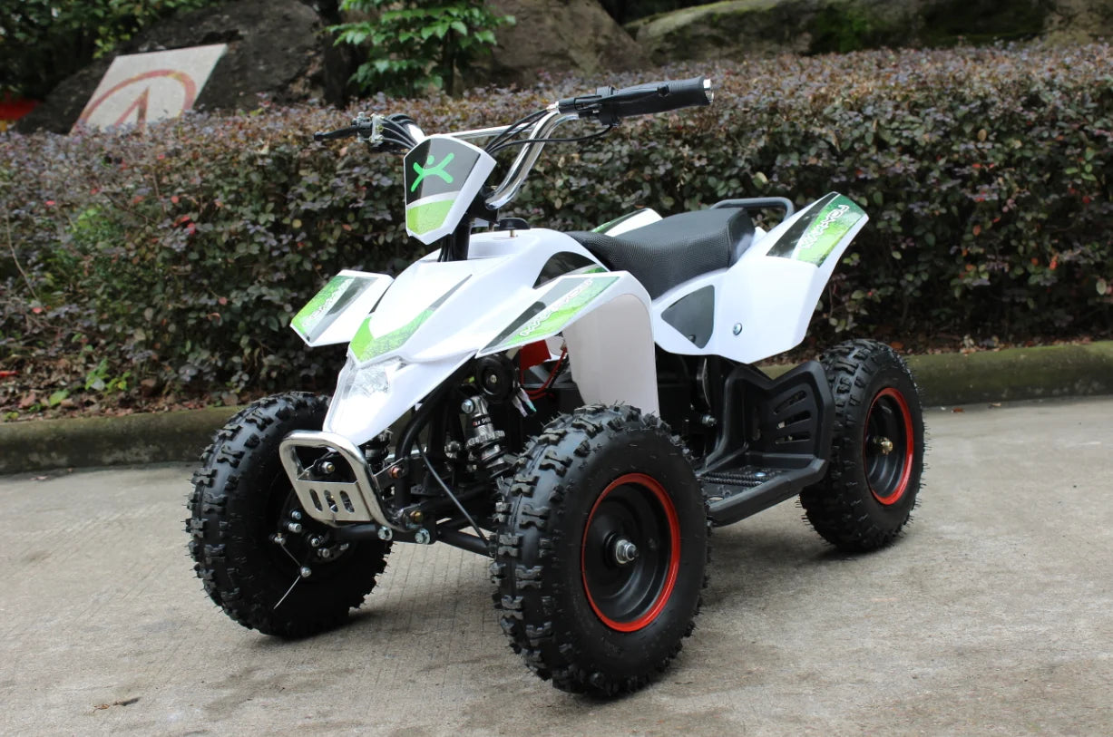 Quad Tout-terrain Enfant 36V 800W Mini Véhicule 4 Roues