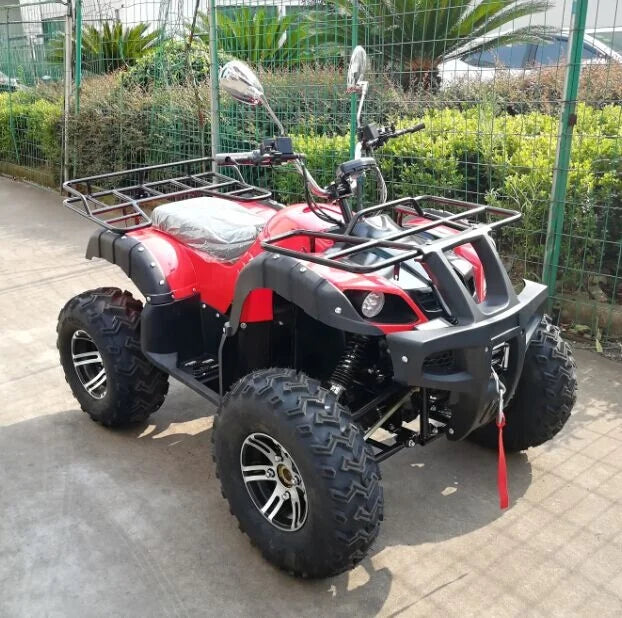 Quad électrique 4000W 4x4 adulte tout-terrain haute puissance