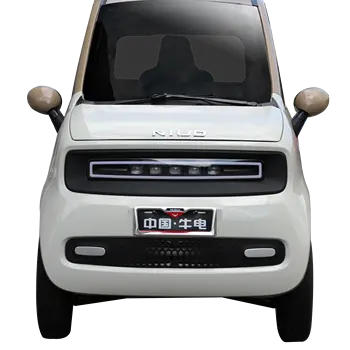 Voiture électrique Mini 3000W 4 Roues
