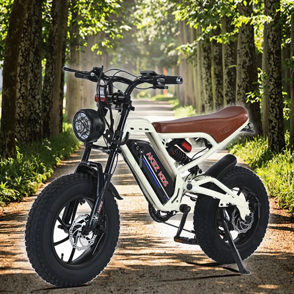 Vélo de Montagne Électrique Enfant 16" Rétro 350W