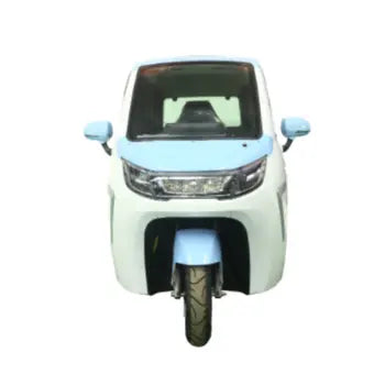 Mini Électrique 2024 Dernier Modèle