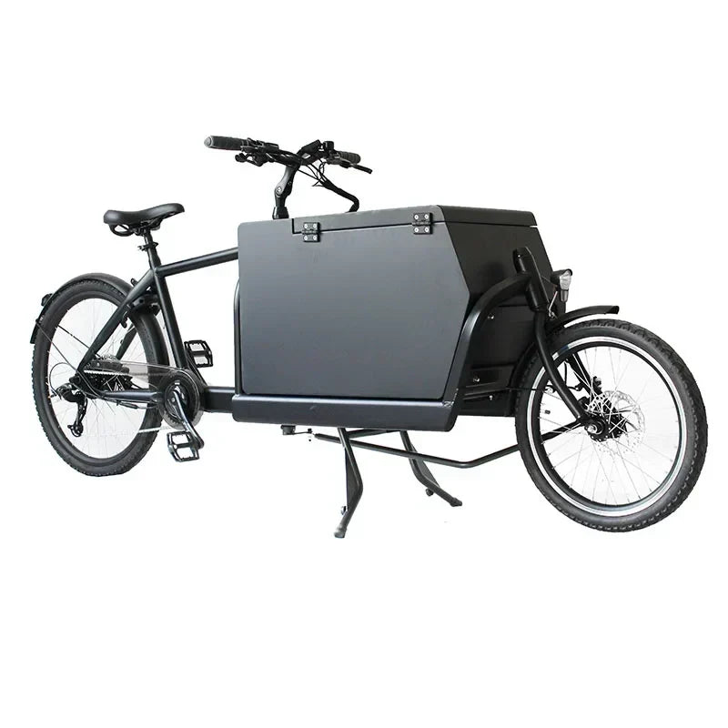 Biporteur électrique style hollandais : guide d'achat