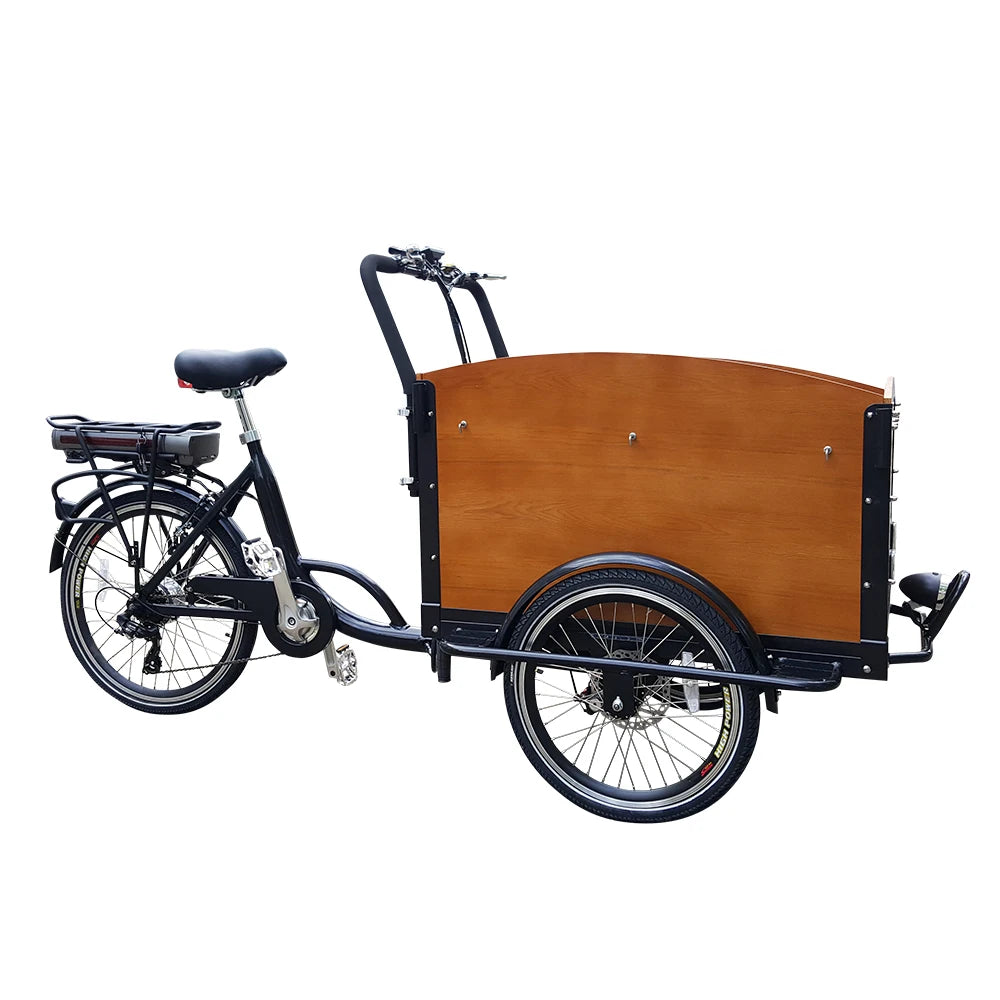 Tricycle Électrique Utilitaire 48V Batterie Lithium Frein à Disque