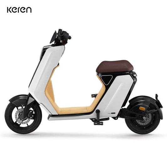 Batterie lithium 60V 24Ah 900W pour scooter électrique adulte