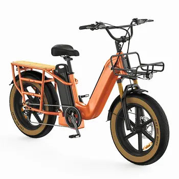 Vélo Électrique Longue Portée 750W Moteur 20" X 4.0 Pneu Gras Shimano 7 Vitesses