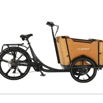 Vélo Cargo Électrique 3 Roues