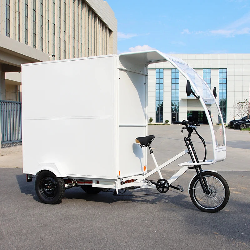 Tricycle Cargo Électrique Adulte Ouvert 3 Roues 1000W 48V