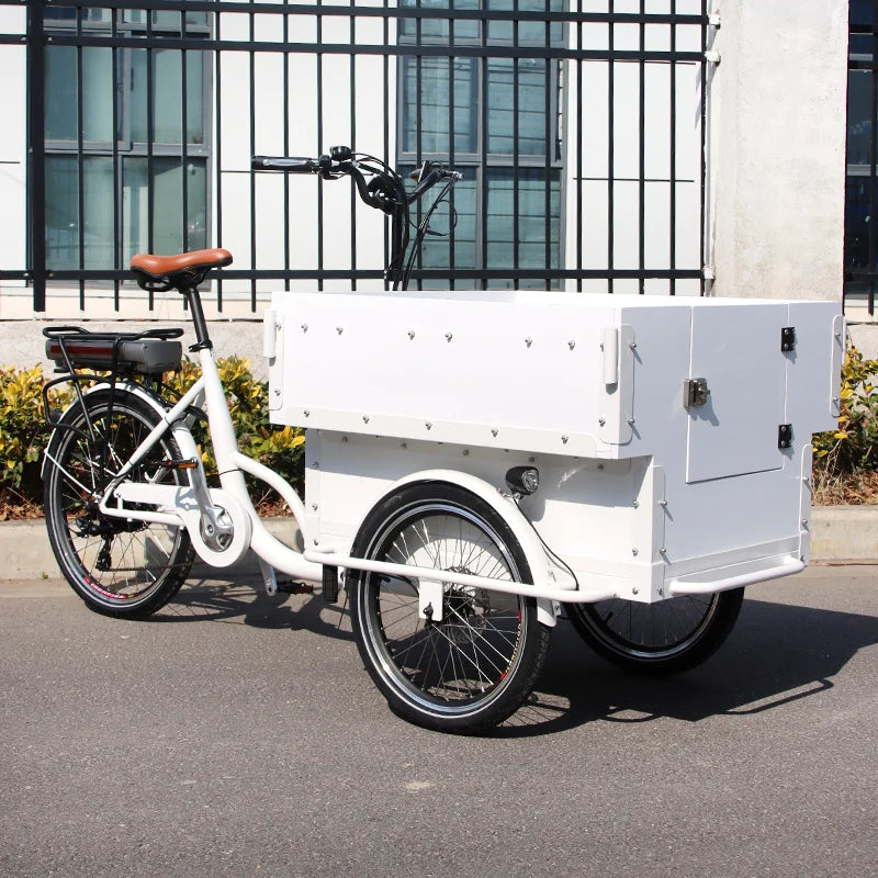 Tricycle Cargo Électrique 20 pouces avec Siège Enfant