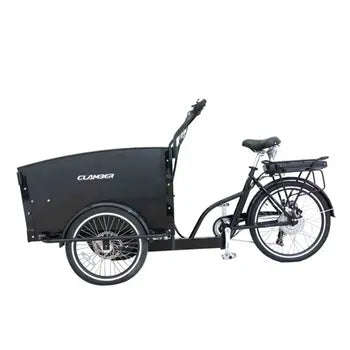 Velos Cargo Electrique Trike 3 Roues Familial